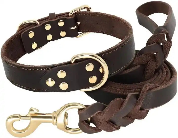 Pet Collars & Leashes