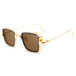 Retro Steampunk Sunglasses for Men and Women - Vintage Square Metal Shades