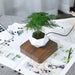 Levitating Air Bonsai Pot - Magnetic Suspension Floating Planter