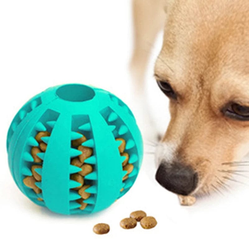 Playful Dental Care: Dog Ball Toys for Small Dogs - Interactive Chew and Tooth Cleaning