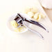 Kitchen Innovation: Handheld Ginger Mincer Tools for Quick and Precise Cooking Prep