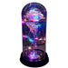 Radiant Romance: Colorful LED Light Strings with Gold-Plated Galaxy Rose - A Valentine's Gift