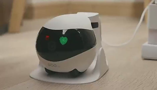 Embrace the Future of Pet Companionship with Ebo SE: Interactive Robot for Cats, Children, and the Elderly"