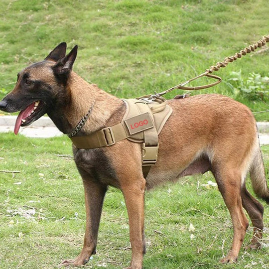 Tactical Clothes for Pet Supplies – Elevate Your Pet's Training Regimen