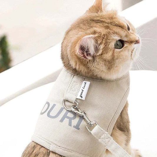 Cat Reflective Tactical Collar & Macramé Surf Board Leash Dog Harness Set