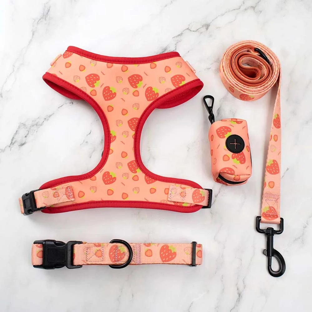 Neoprene Dog Harness with Matching Dog Collar Leash Bow Tie and Bandana Set