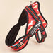 Fashion Meets Function: RIBBONS Adorned No Pull Dog Harness for Training Bliss