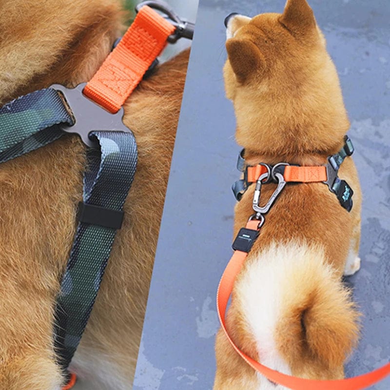 Walk in Confidence with Our Adjustable Vest Dog Harness and Traction Rope