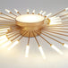 Modern Fireworks Led Ceiling Chandelier Lamp Indoor Lighting For Living Room Bedroom Home Decoration Kitchen Dining Table Light