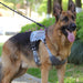 Heavy Duty K9 Nylon Pet Waterproof Vest with High-Quality Tactical Harness