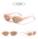 Candy Color Square Sunglasses: Small Triangle Frames with Fashion Leopard Print - Stylish Eye Cat Sun Shades for Ladies