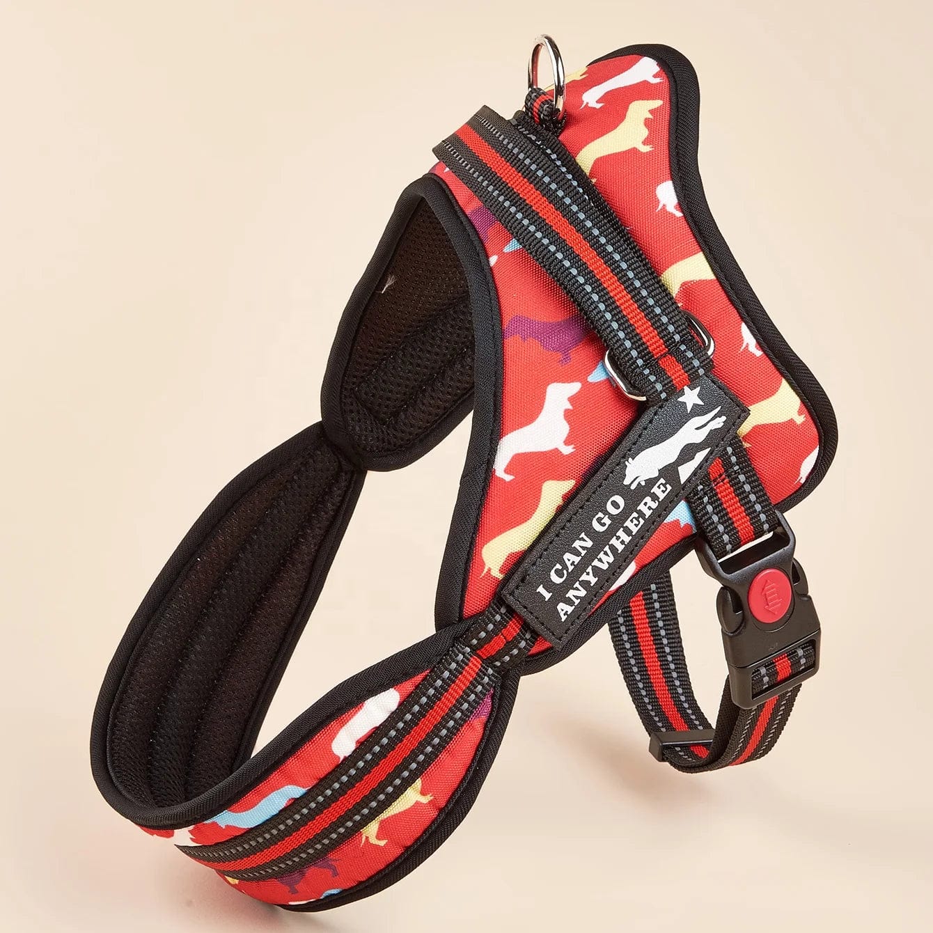 Fashion Meets Function: RIBBONS Adorned No Pull Dog Harness for Training Bliss