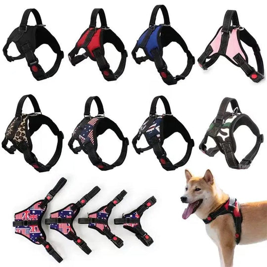 Durable Chest Vest Leash for Stylish Small to Big Pet Walks, Reflective Pet Dog