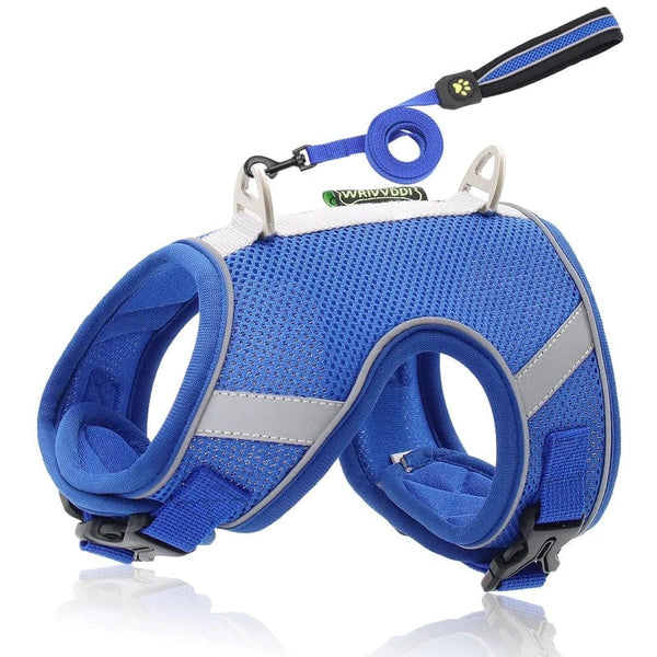 Discover the New Standard in Cat Harnesses for Escape-Proof Walks
