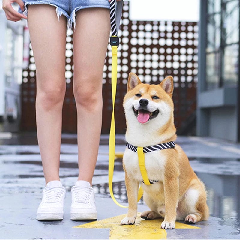 Walk in Confidence with Our Adjustable Vest Dog Harness and Traction Rope