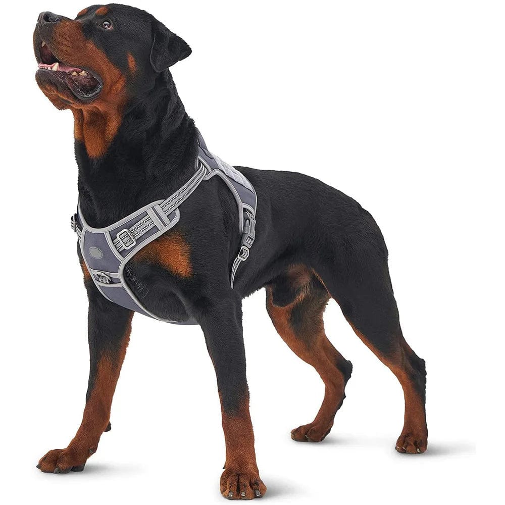Easy Control, Maximum Comfort: Discover the Ultimate Medium to Large Dog Harness