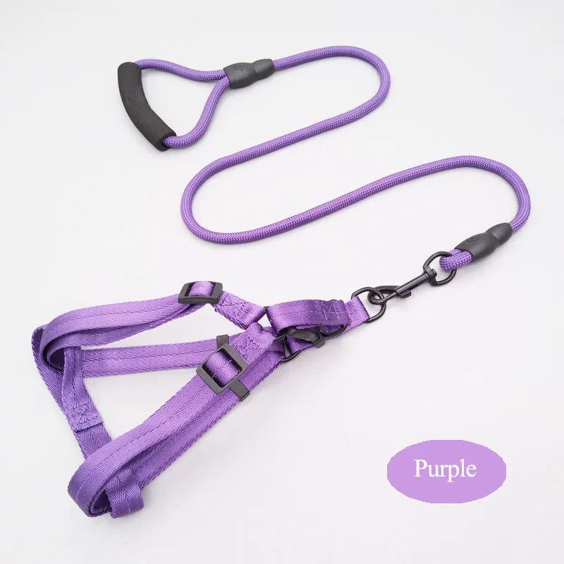 Tailored Trends: Adjustable Elegance in Our Designer Harness and Leash Set