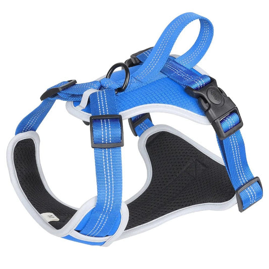 Confidence in Every Stride: Big Dog Safety with Our Oxford Cloth Chest Strap