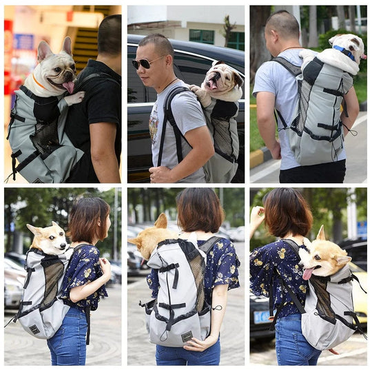 Pet Dog Carrier Backpack - Trendy Dog Carrier Bag for Comfortable Camping with Your Pet