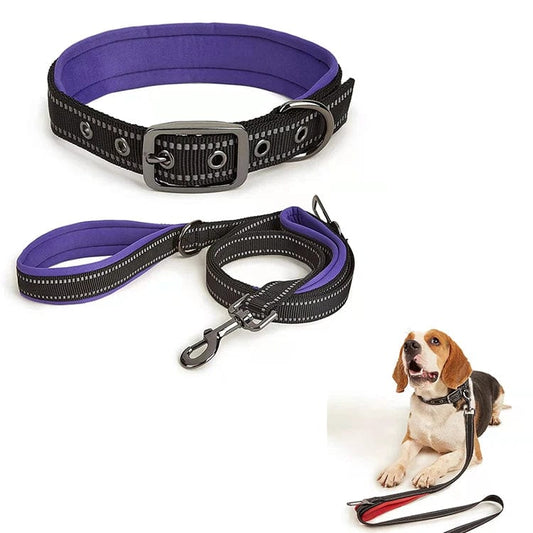 Master the Walk Retractable Hardware Heavy Duty Tactical Dog Collar Set