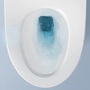 Explore Intelligent Design with Our One Piece Toilet Featuring Advanced LED Nightlight