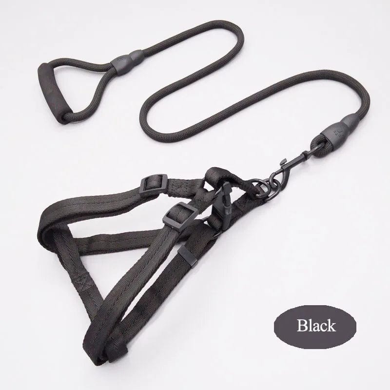 Tailored Trends: Adjustable Elegance in Our Designer Harness and Leash Set