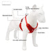 Dog Harness With Leash Set: Soft Breathable Dog Harness, multi-color design