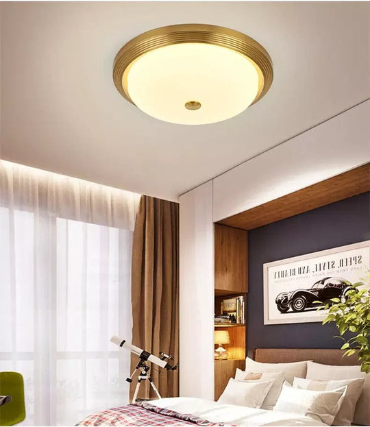 Nordic Gold Black LED Ceiling Dome Light for Modern Living Spaces