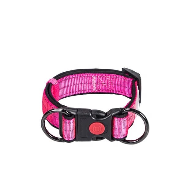 Nylon Durable Luxury Dog Collar Leash for Large and Small Breeds