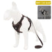 Training Elegance: Reflective Pet Leash Designer Harness Vest for Stylish Control