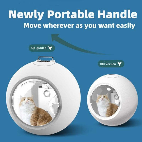 Ultra Quiet Automatic Pet Hair Dryer For Cats and Small Dogs