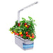 Mini Smart Grow Plant Flower Pot with LED Light Technology - Mini Smart Grow Plant Flower