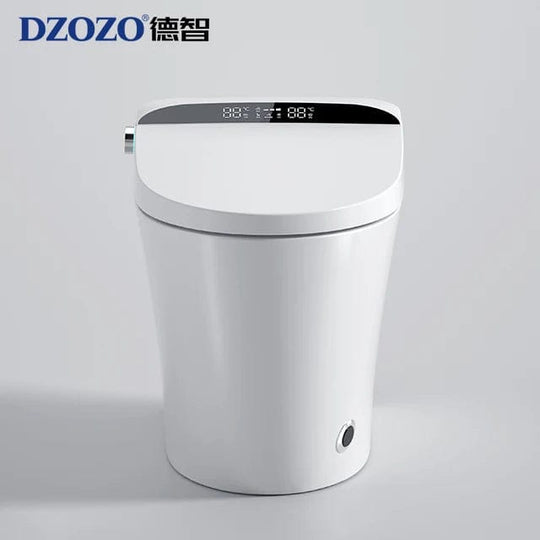 Upgrade Your Bathroom with Affordable and Intelligent Dual Flush Toilets