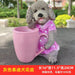 Playful Perfection: Hand-Painted Teddy Dog Resin Crafts, Not Easily Deformed