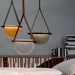 Versatile Elegance: Glass Hanging Lamps - LED Pendant Lights for Home Decoration in Bedrooms and Restaurants