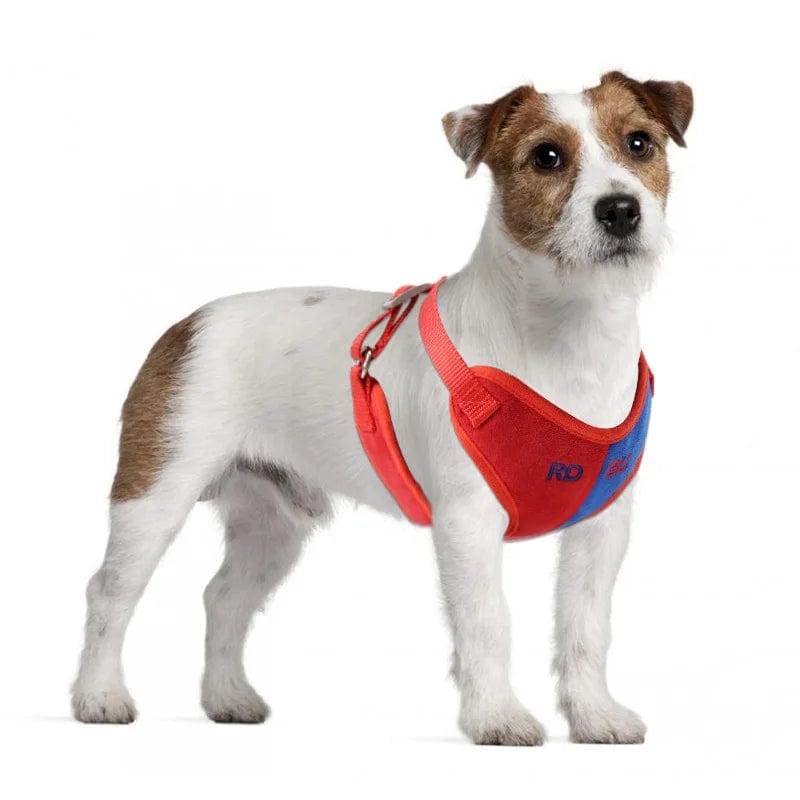 Dog Harness With Leash Set: Soft Breathable Dog Harness, multi-color design