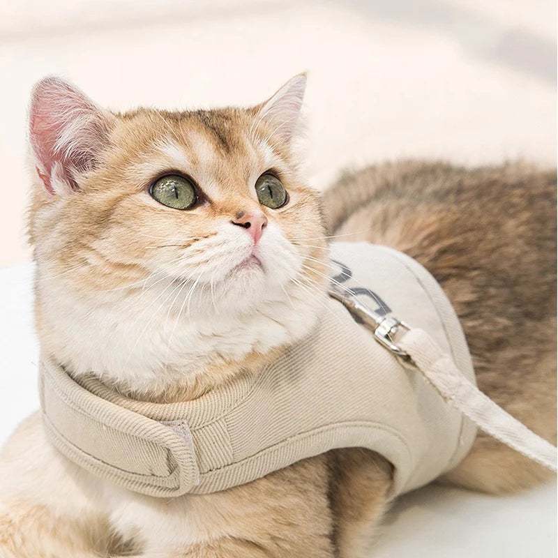 Cat Reflective Tactical Collar & Macramé Surf Board Leash Dog Harness Set