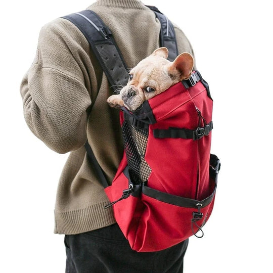 Pet Dog Carrier Backpack - Trendy Dog Carrier Bag for Comfortable Camping with Your Pet