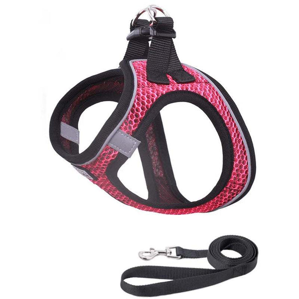 Optimal Control, Maximum Visibility: Easy Walk Pet Dog Harness Leash Set with Reflective Rope.