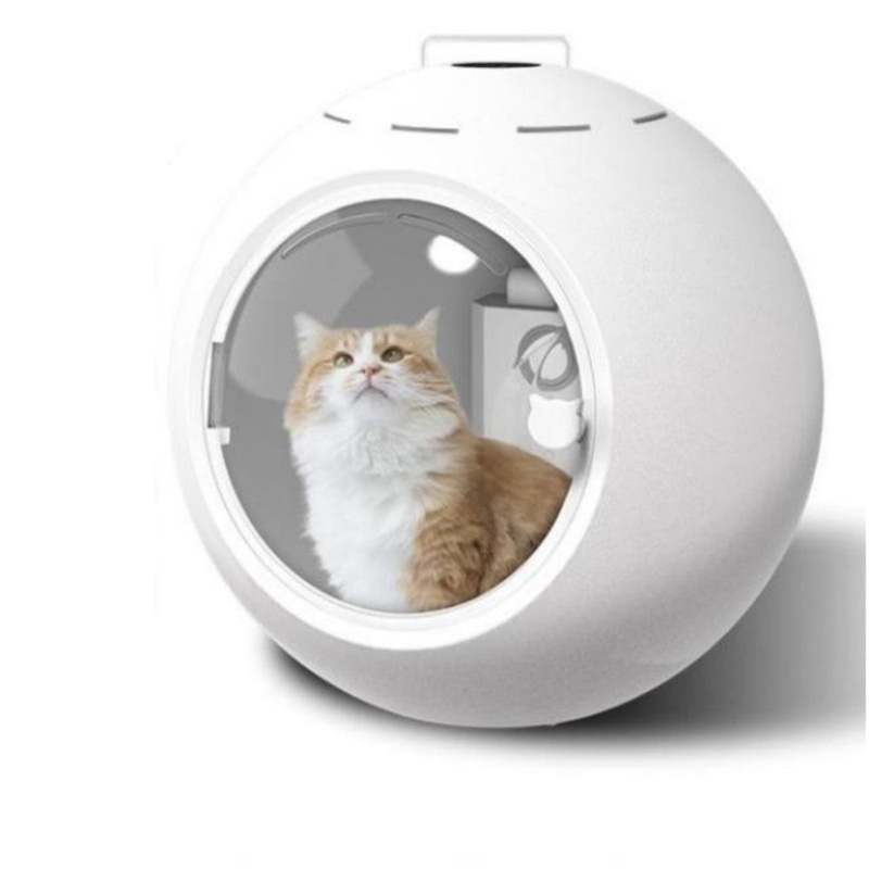 Ultra Quiet Automatic Pet Hair Dryer For Cats and Small Dogs