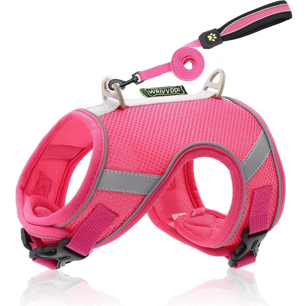 Discover the New Standard in Cat Harnesses for Escape-Proof Walks