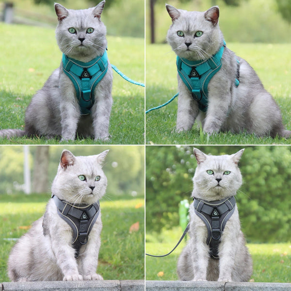 Training Elegance: Reflective Pet Leash Designer Harness Vest for Stylish Control