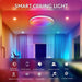 Smart Lighting, Modern Living: LED RGB Smart Ceiling Lights - APP Control for Living Room, Bedroom, and Hotel Spaces