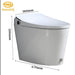 Intelligent High-Tech Automatic Flush Water Closet Toilet