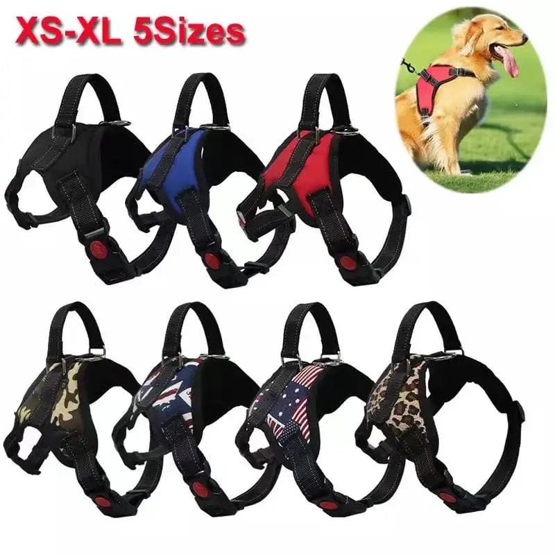 Durable Chest Vest Leash for Stylish Small to Big Pet Walks, Reflective Pet Dog