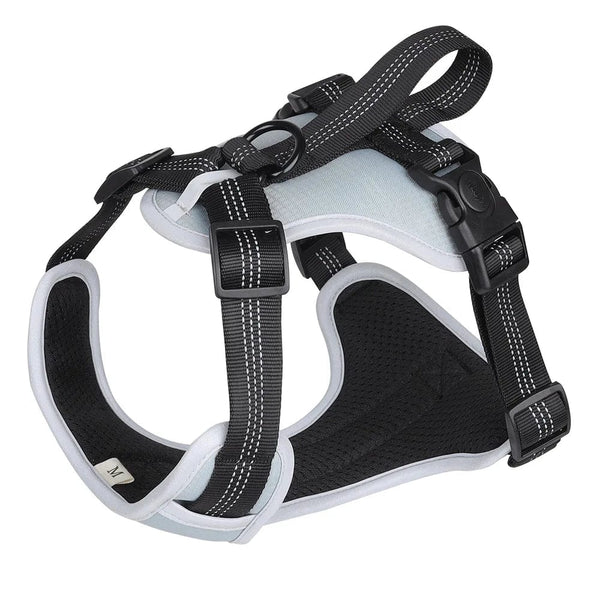Confidence in Every Stride: Big Dog Safety with Our Oxford Cloth Chest Strap