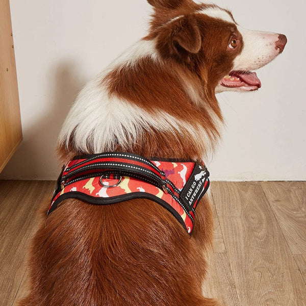 Fashion Meets Function: RIBBONS Adorned No Pull Dog Harness for Training Bliss