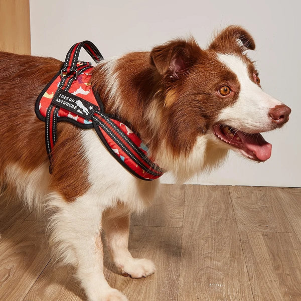 Fashion Meets Function: RIBBONS Adorned No Pull Dog Harness for Training Bliss