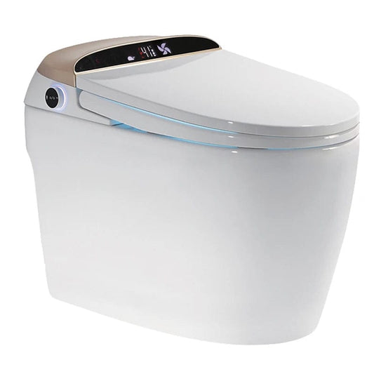 Innovative Comfort: Experience Luxury with our Floor Standing Smart Toilet