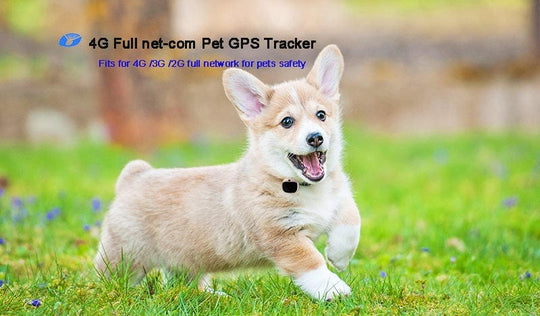 Peace of Mind for Pet Parents: 4G GPS Dog Tracker Collar with Anti-Theft, Long Battery Life, and Advanced Features